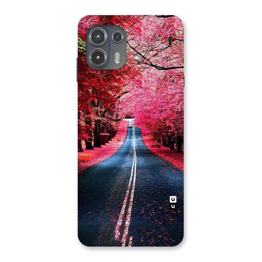 Beautiful Red Trees Back Case for Motorola Edge 20 Fusion