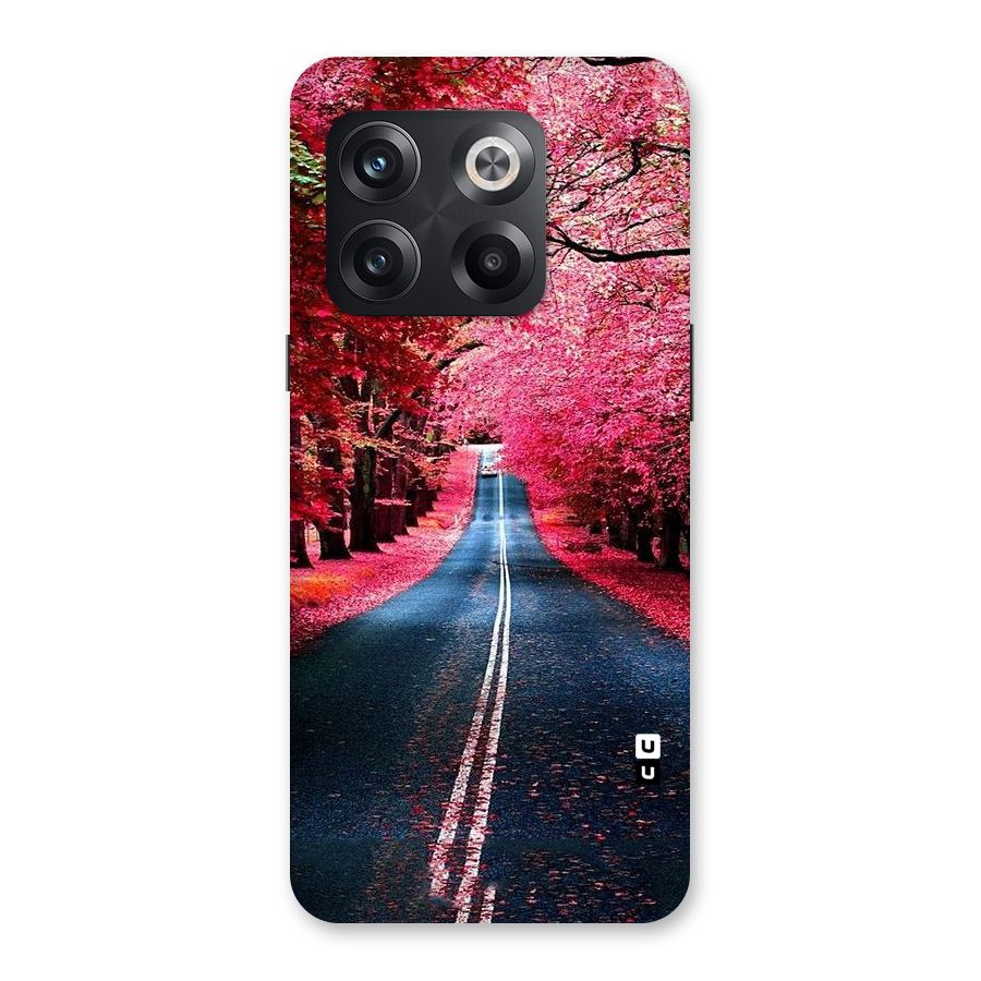 Beautiful Red Trees Back Case for OnePlus 10T