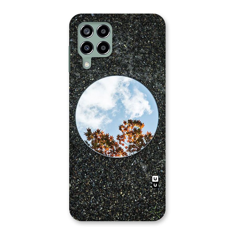 Beautiful Sky Leaves Back Case for Galaxy M33