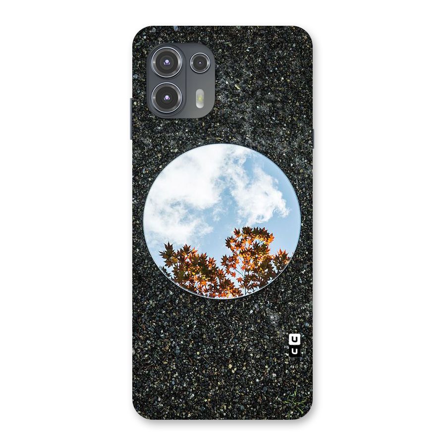 Beautiful Sky Leaves Back Case for Motorola Edge 20 Fusion