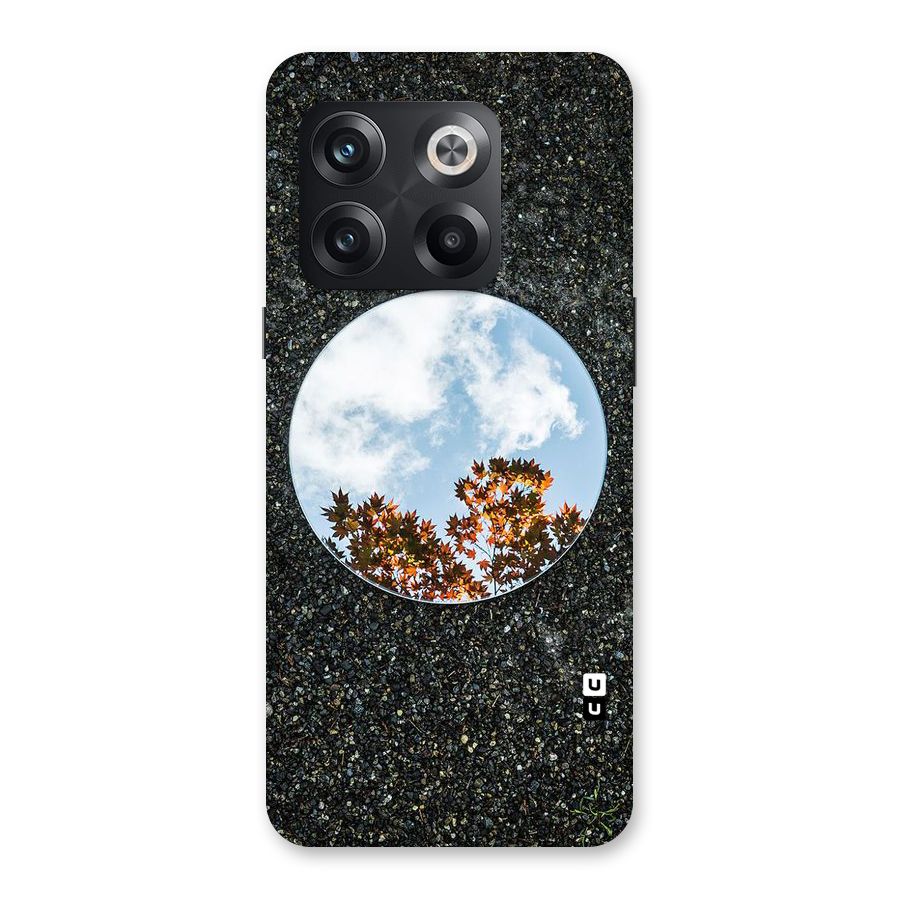 Beautiful Sky Leaves Back Case for OnePlus 10T