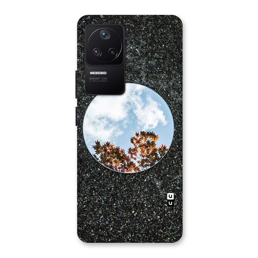 Beautiful Sky Leaves Back Case for Poco F4 5G