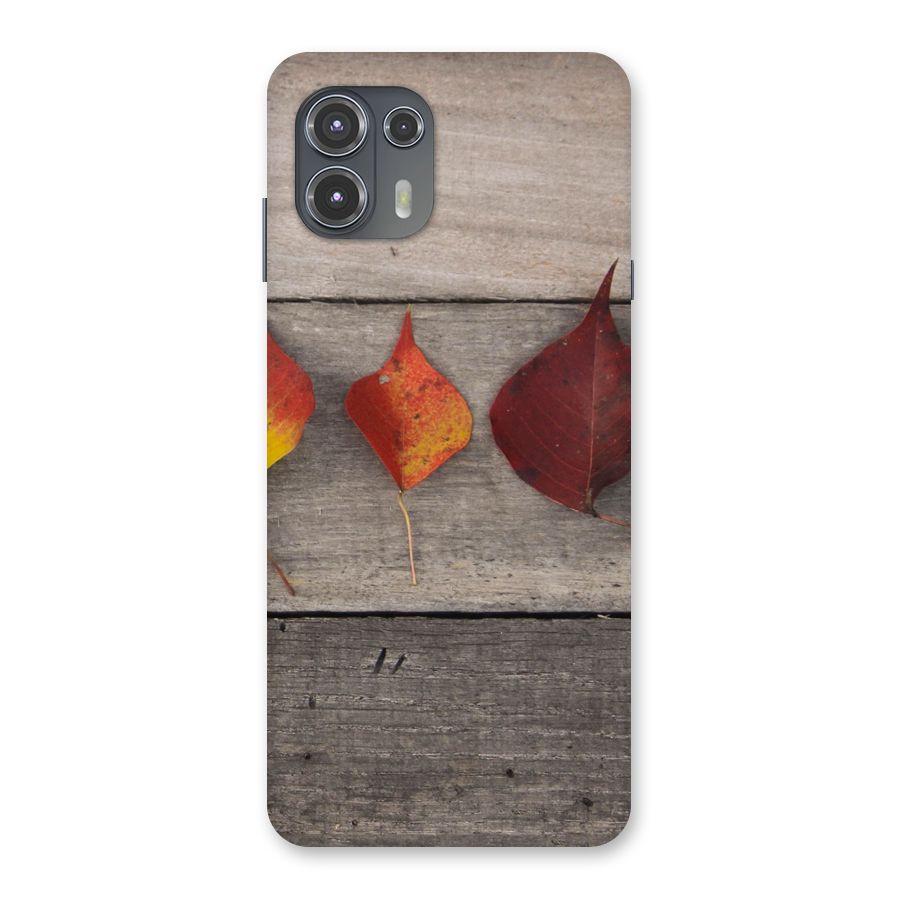 Beautiful Wood Leafs Back Case for Motorola Edge 20 Fusion
