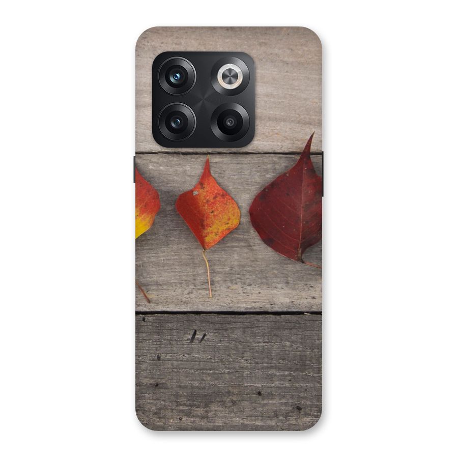 Beautiful Wood Leafs Back Case for OnePlus 10T