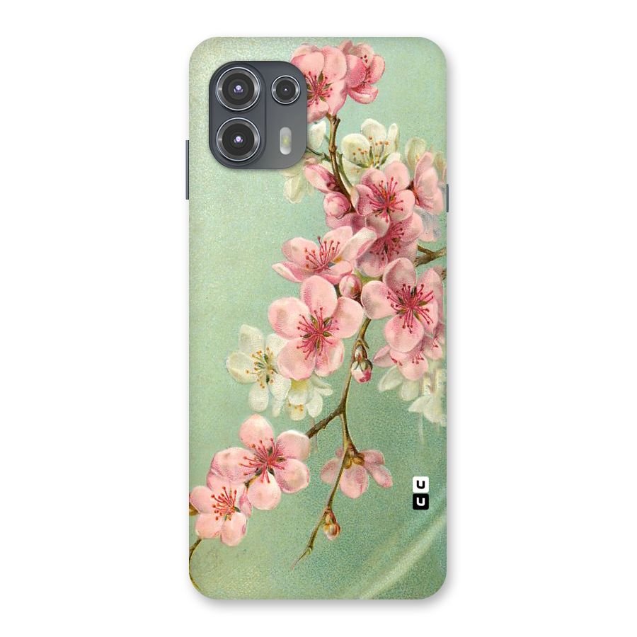 Blossom Cherry Design Back Case for Motorola Edge 20 Fusion