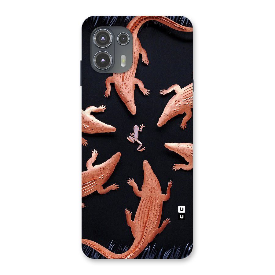 Brave Frog Back Case for Motorola Edge 20 Fusion