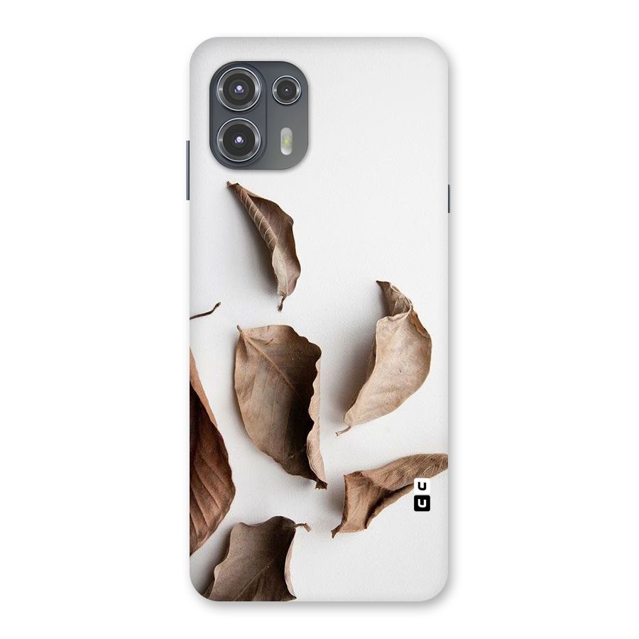 Brown Dusty Leaves Back Case for Motorola Edge 20 Fusion