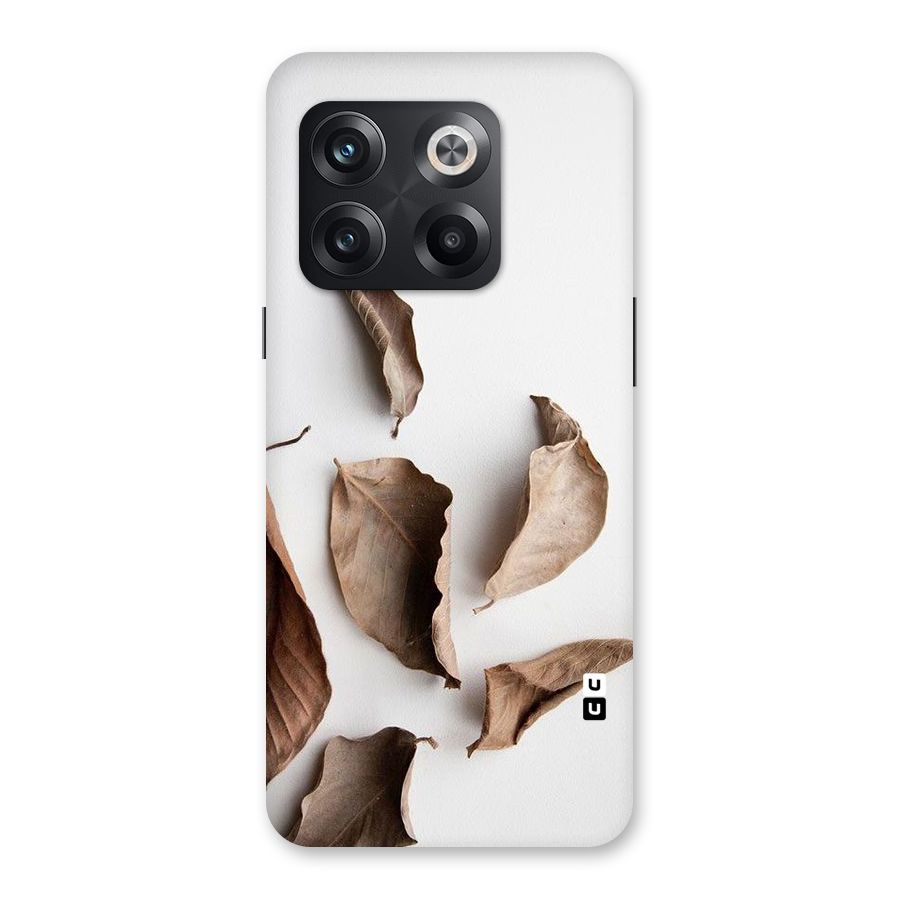 Brown Dusty Leaves Back Case for OnePlus 10T