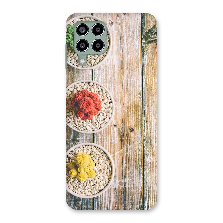 Cacti Decor Back Case for Galaxy M33