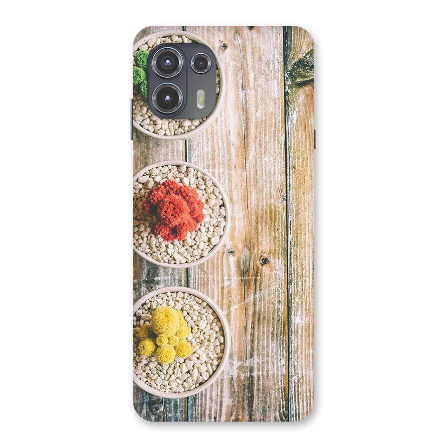 Cacti Decor Back Case for Motorola Edge 20 Fusion