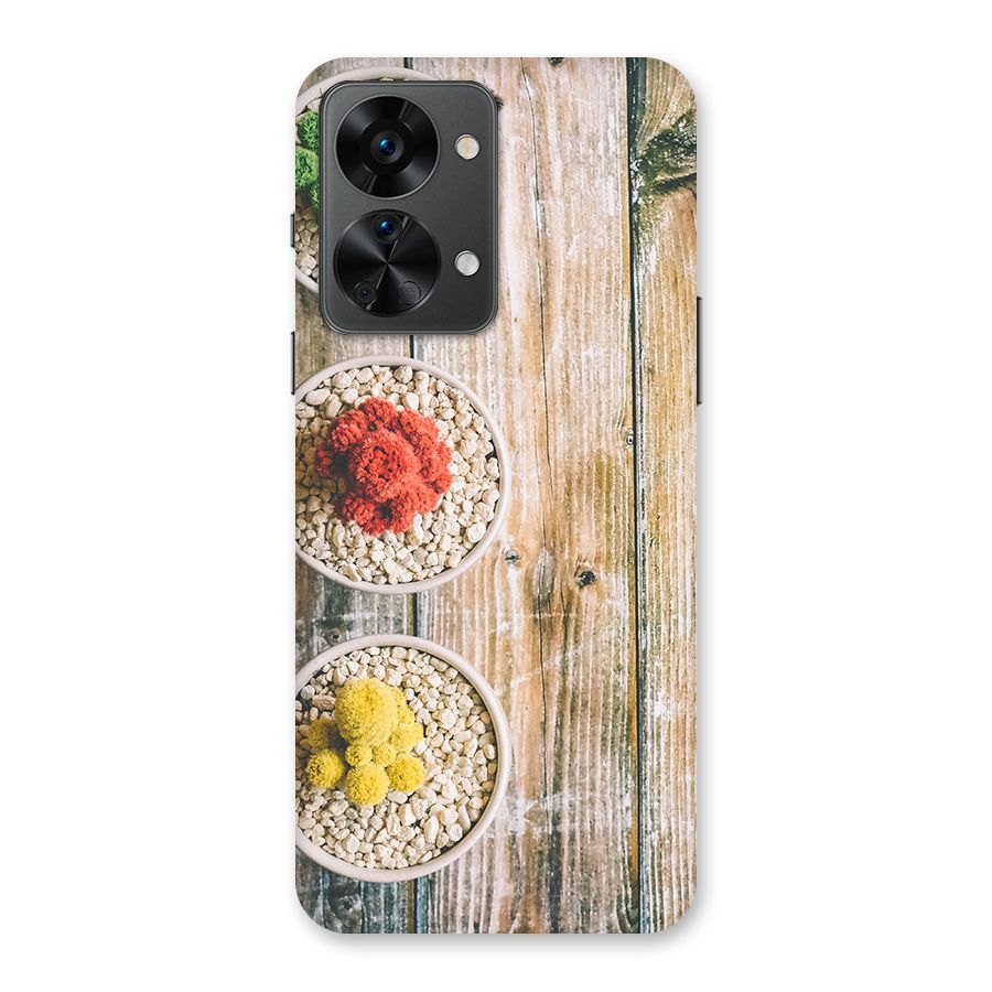 Cacti Decor Back Case for OnePlus Nord 2T