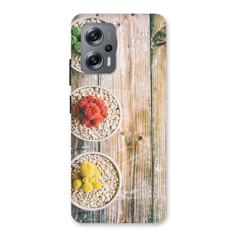 Cacti Decor Back Case for Redmi K50i
