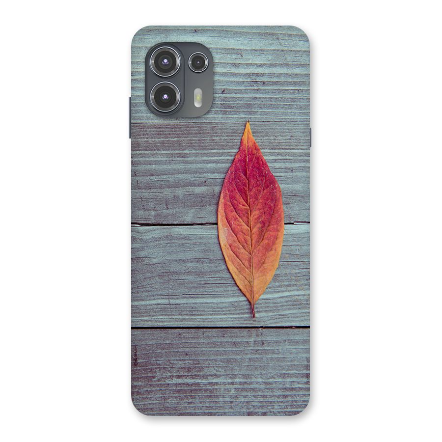 Classic Wood Leaf Back Case for Motorola Edge 20 Fusion