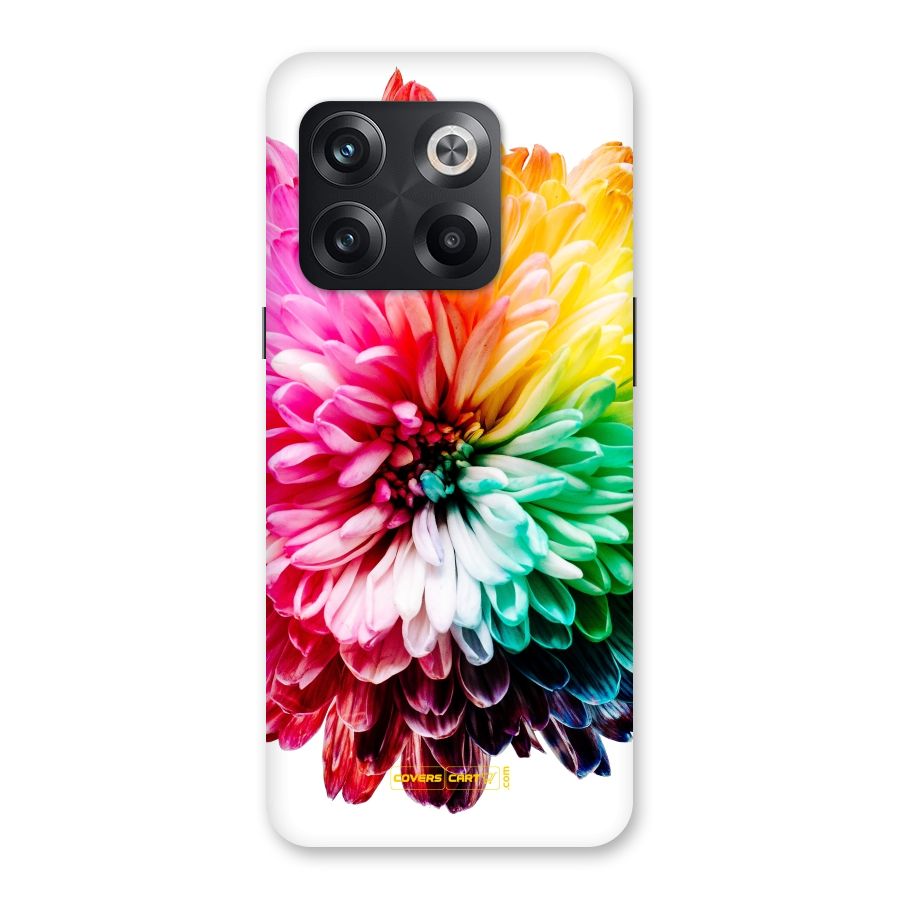 Colorful Flower Back Case for OnePlus 10T
