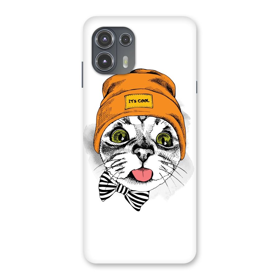 Cool cat Back Case for Motorola Edge 20 Fusion