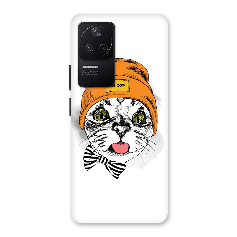 Cool cat Back Case for Poco F4 5G