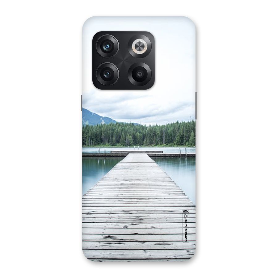 Dock River Back Case for OnePlus 10T