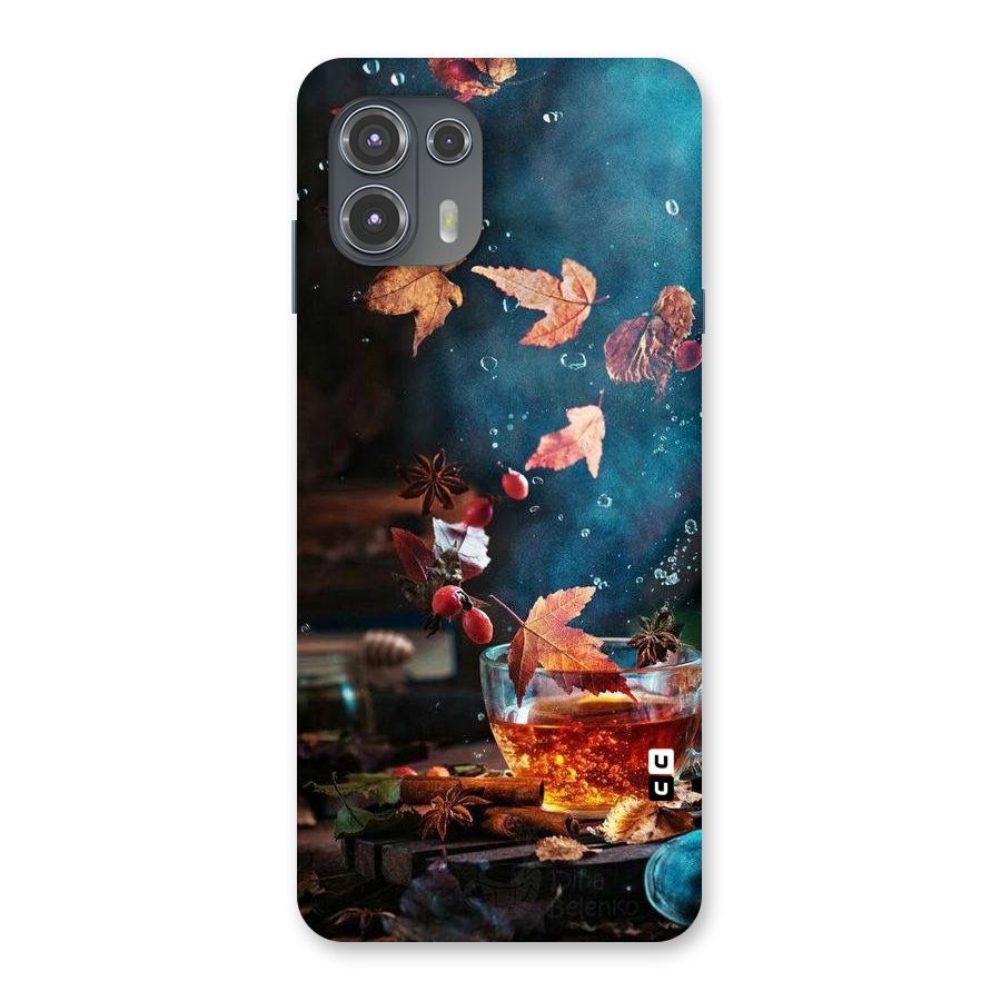 Falling Leaves Tea Back Case for Motorola Edge 20 Fusion