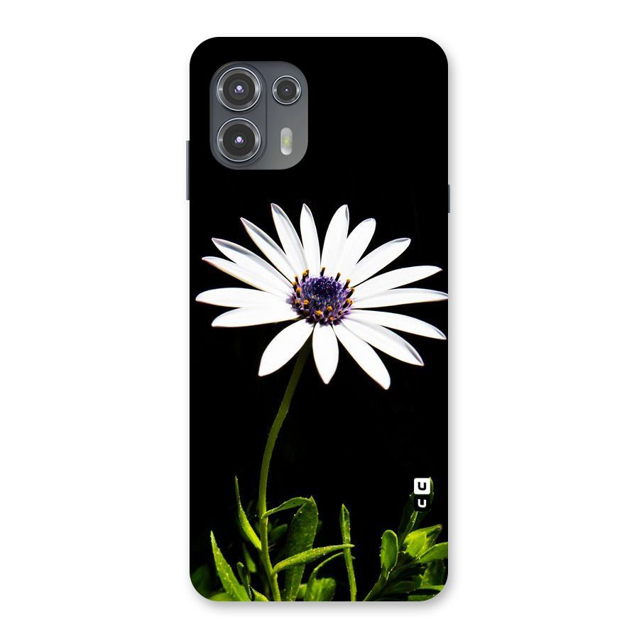 Flower White Spring Back Case for Motorola Edge 20 Fusion