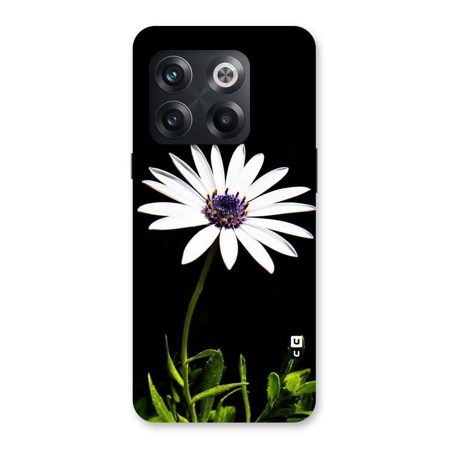 Flower White Spring Back Case for OnePlus 10T