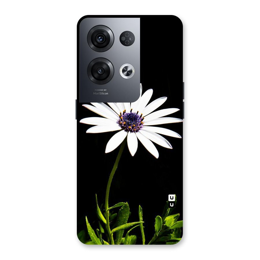 Flower White Spring Back Case for Oppo Reno8 Pro 5G