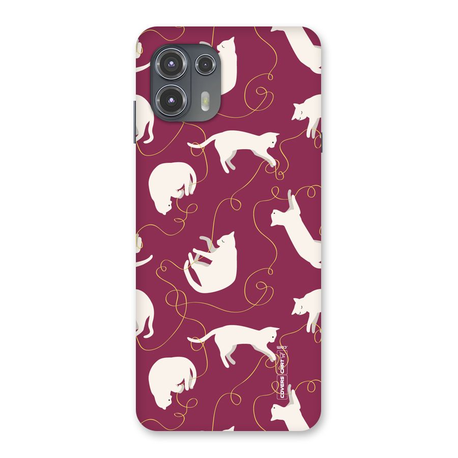Lazy Kitty Back Case for Motorola Edge 20 Fusion