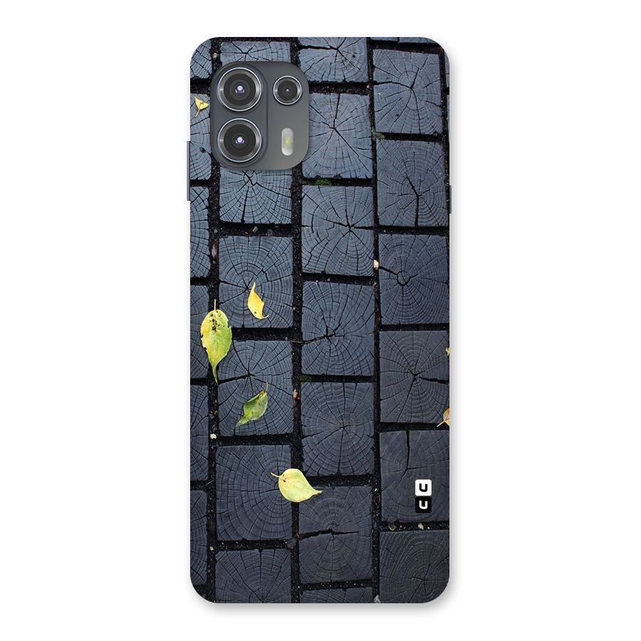 Leaf On Floor Back Case for Motorola Edge 20 Fusion