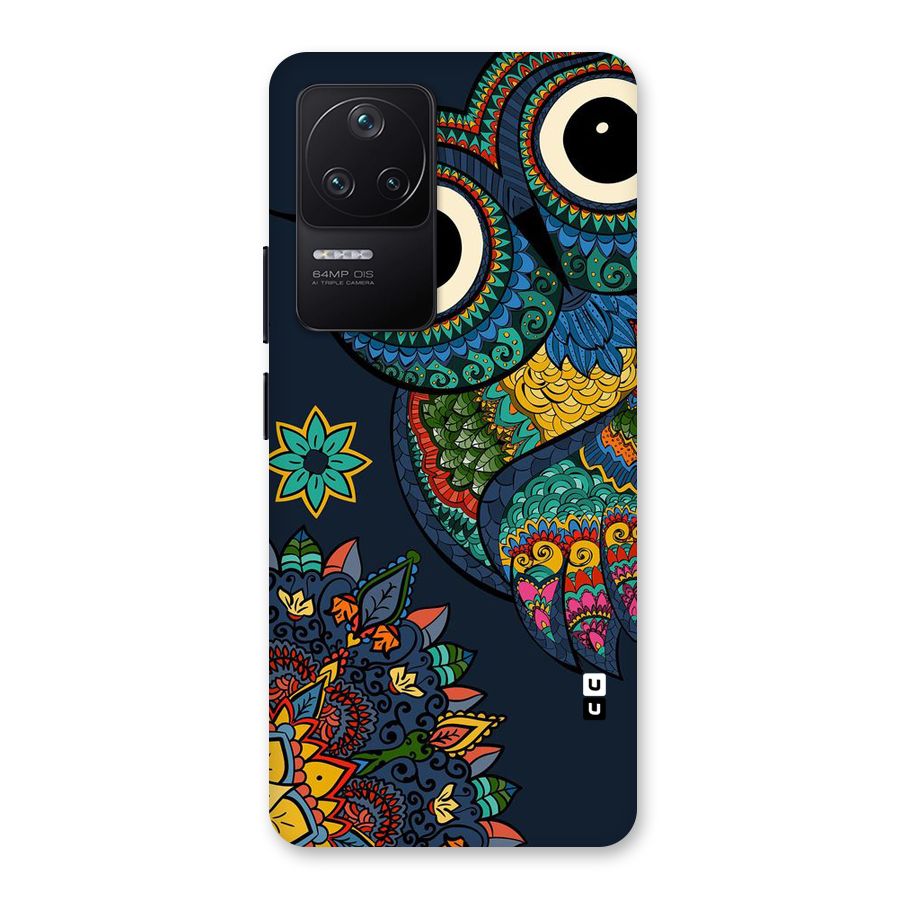 Owl Eyes Back Case for Poco F4 5G