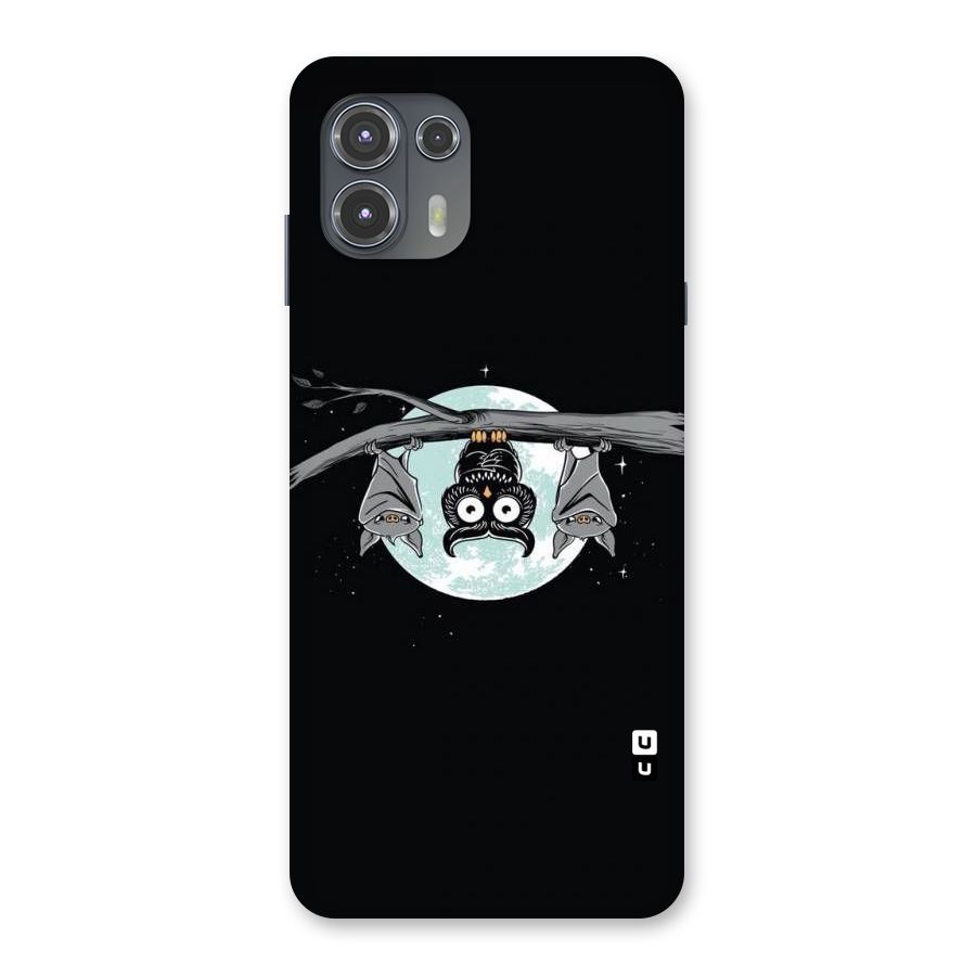 Owl Hanging Back Case for Motorola Edge 20 Fusion