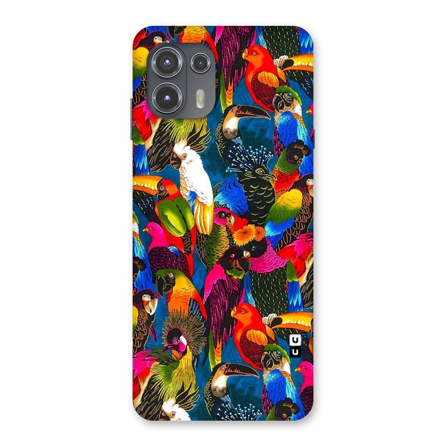 Parrot Art Back Case for Motorola Edge 20 Fusion