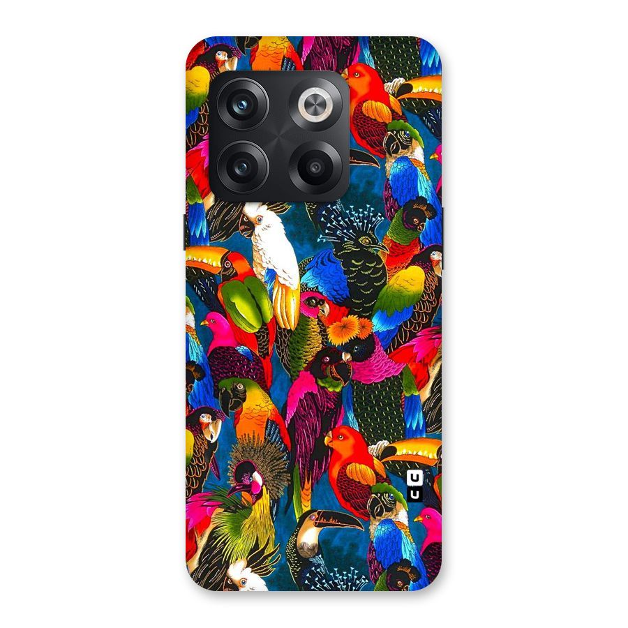 Parrot Art Back Case for OnePlus 10T