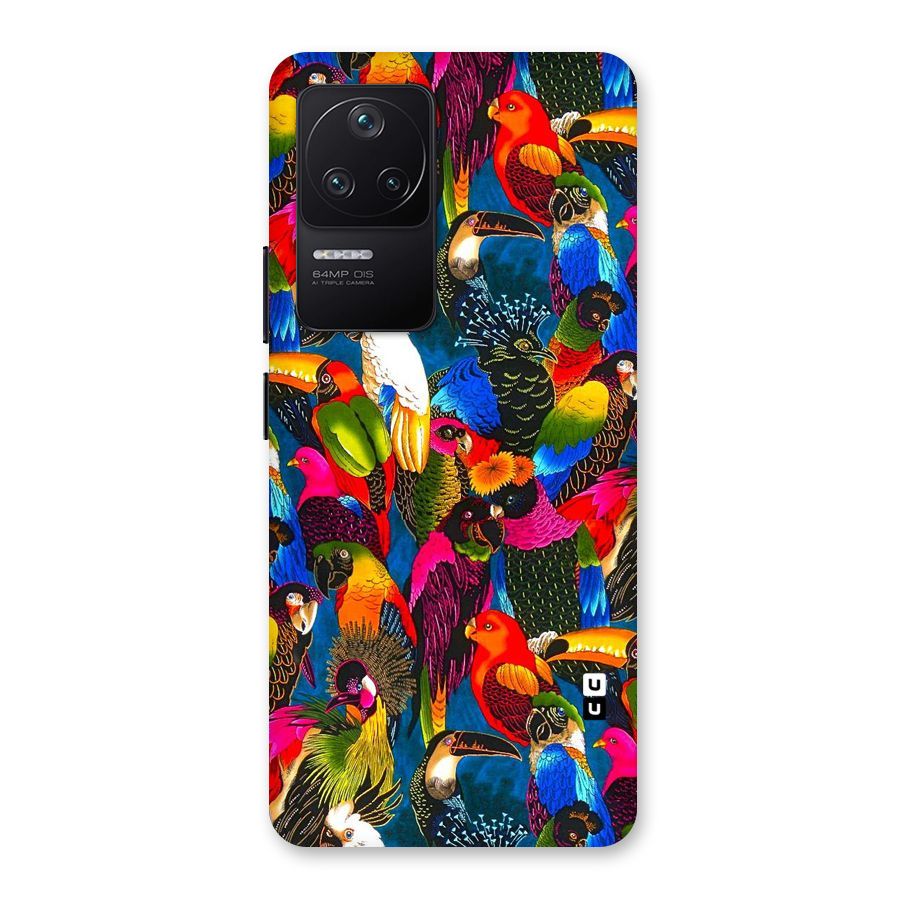 Parrot Art Back Case for Poco F4 5G