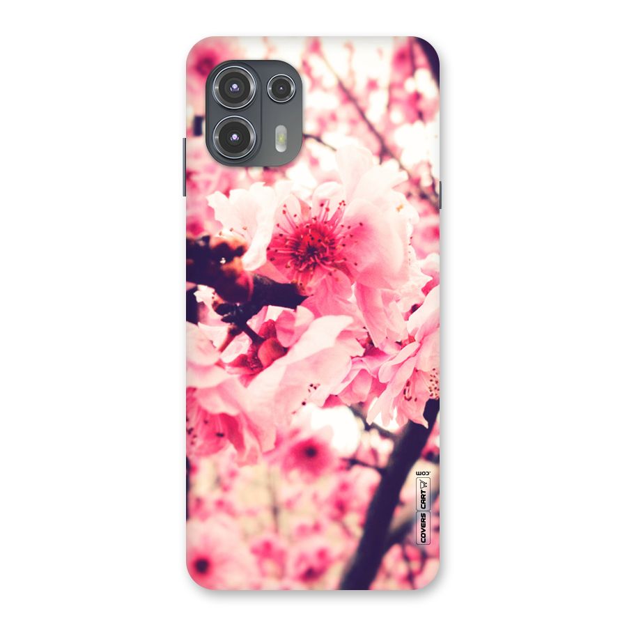 Pretty Pink Flowers Back Case for Motorola Edge 20 Fusion