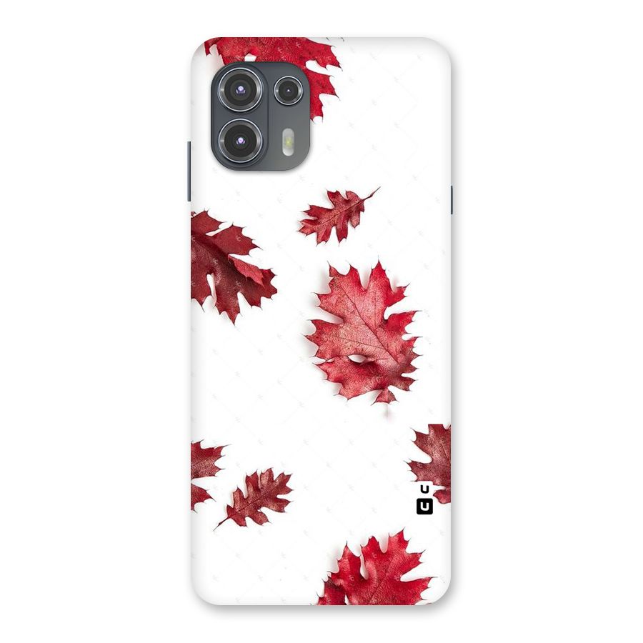 Red Appealing Autumn Leaves Back Case for Motorola Edge 20 Fusion