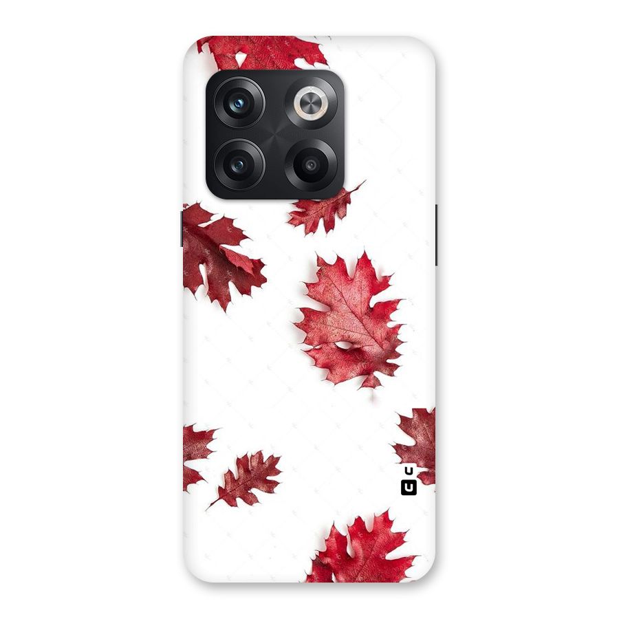 Red Appealing Autumn Leaves Back Case for OnePlus 10T