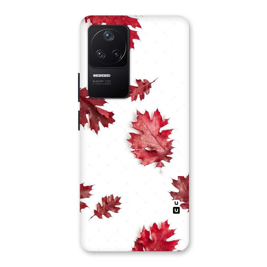 Red Appealing Autumn Leaves Back Case for Poco F4 5G