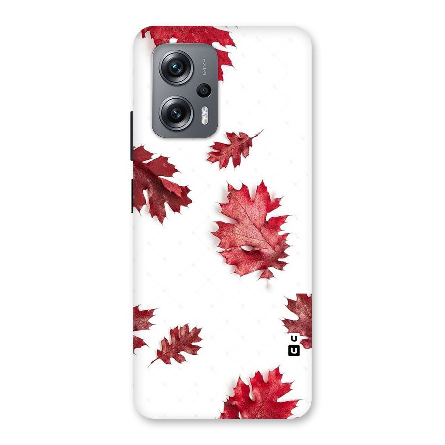 Red Appealing Autumn Leaves Back Case for Redmi K50i