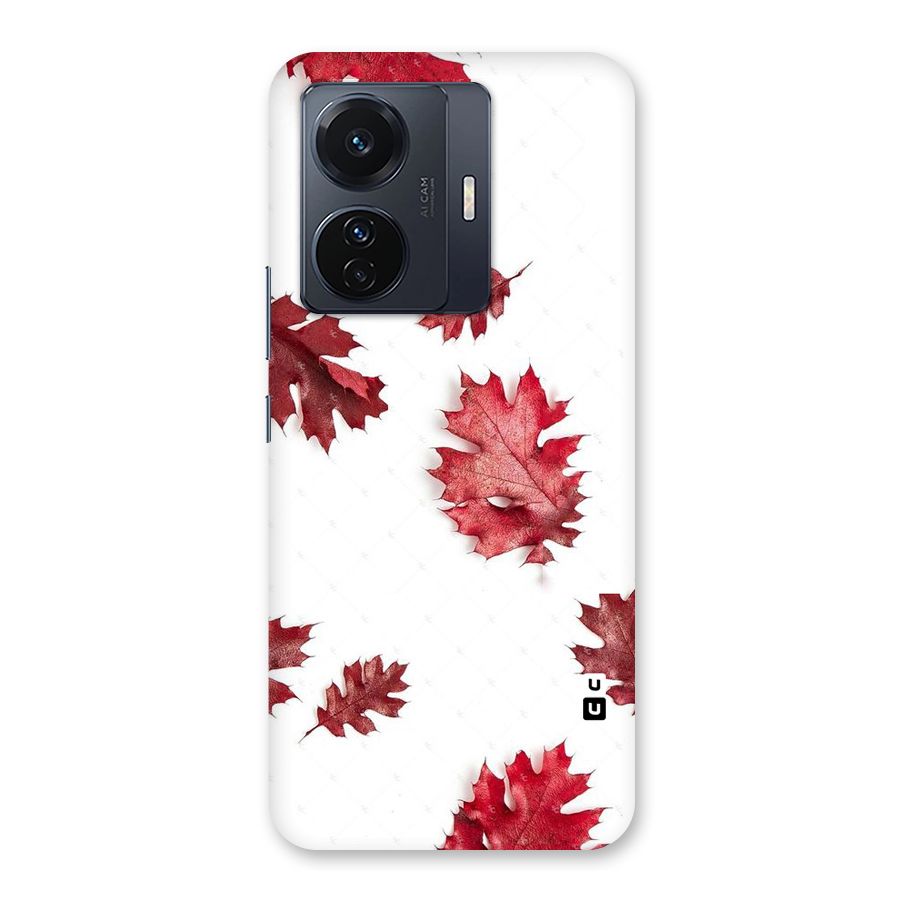 Red Appealing Autumn Leaves Back Case for Vivo T1 Pro