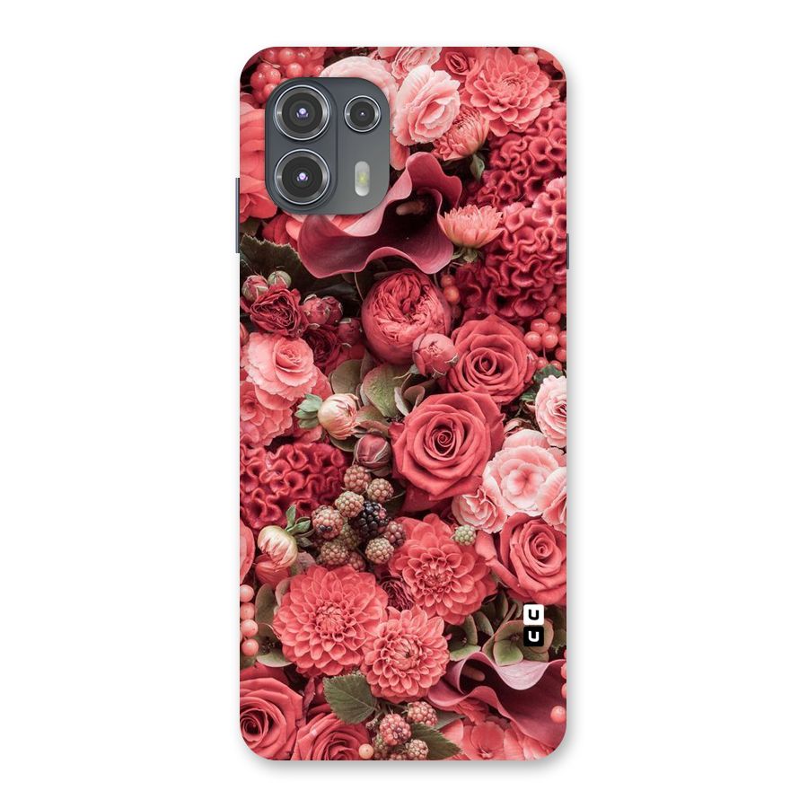 Shades Of Peach Back Case for Motorola Edge 20 Fusion