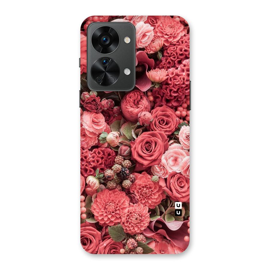 Shades Of Peach Back Case for OnePlus Nord 2T