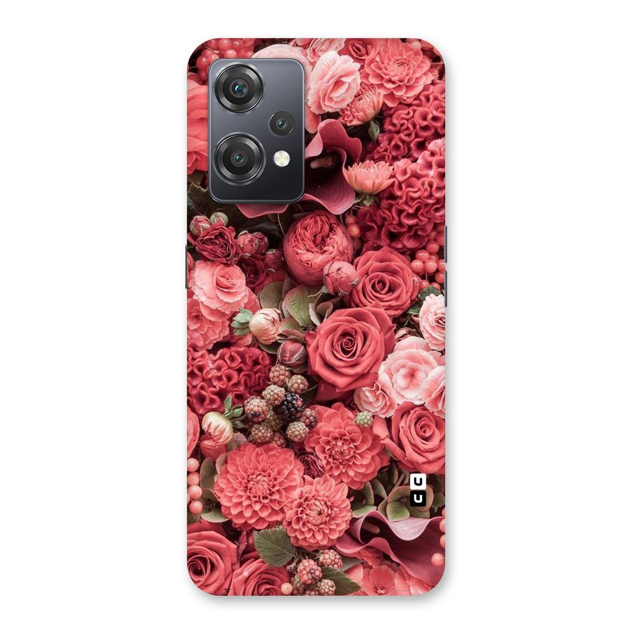 Shades Of Peach Back Case for OnePlus Nord CE 2 Lite 5G