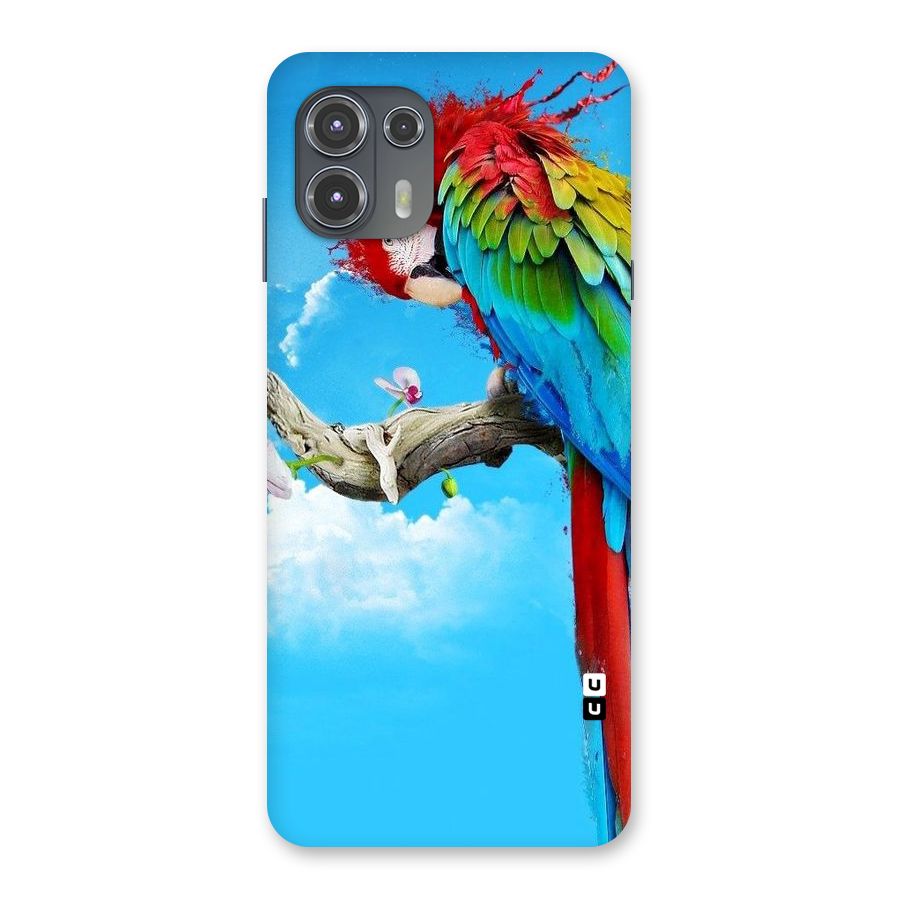 Sky Parrot Back Case for Motorola Edge 20 Fusion