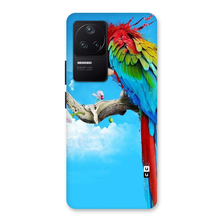 Sky Parrot Back Case for Poco F4 5G