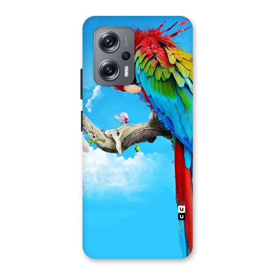 Sky Parrot Back Case for Redmi K50i