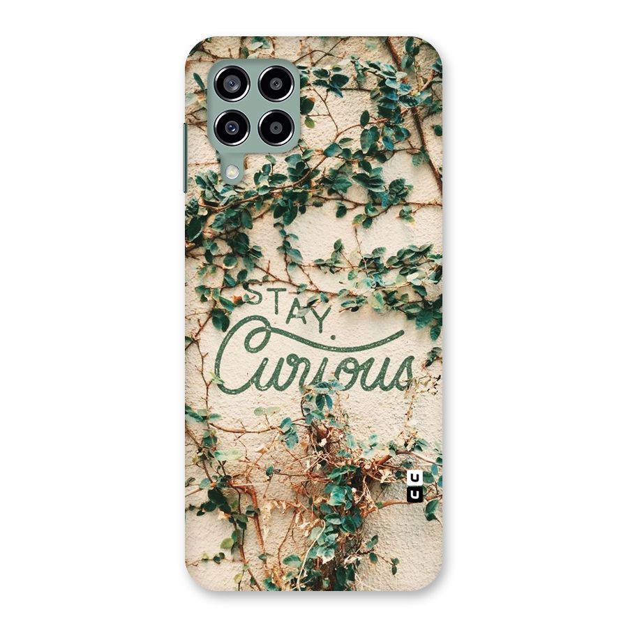 Stay Curious Back Case for Galaxy M33