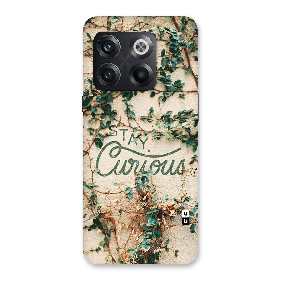 Stay Curious Back Case for OnePlus 10T