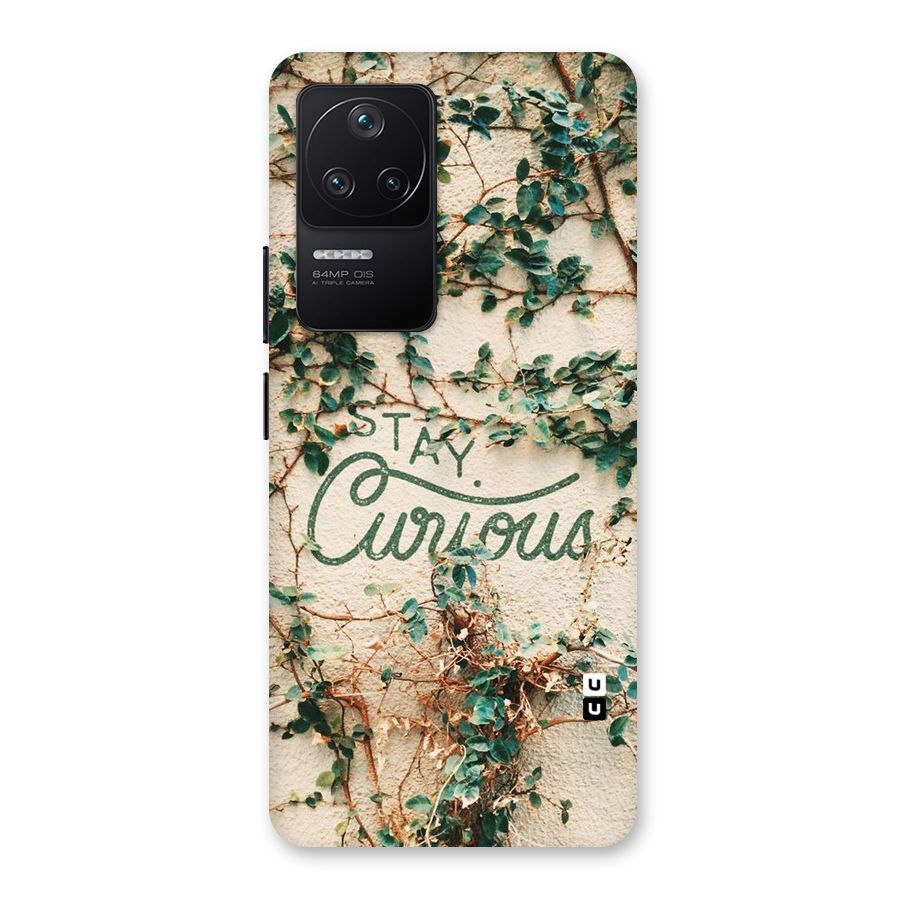 Stay Curious Back Case for Poco F4 5G