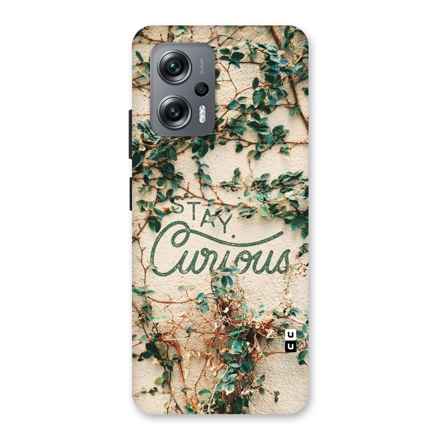 Stay Curious Back Case for Redmi K50i