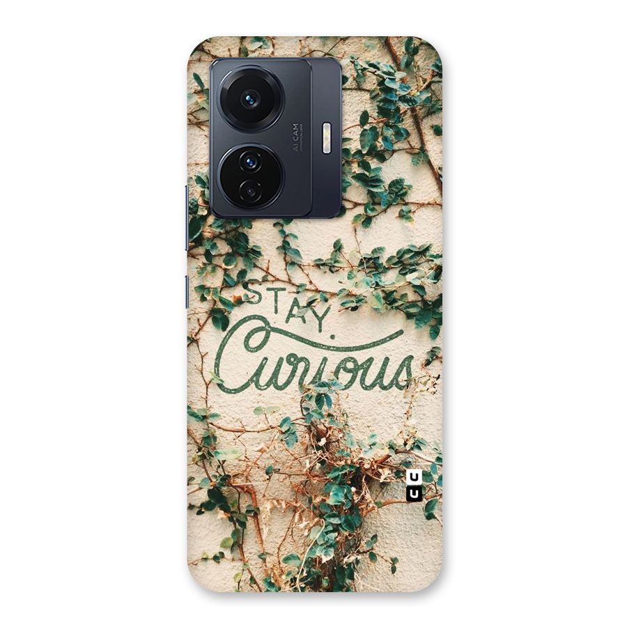 Stay Curious Back Case for Vivo T1 Pro