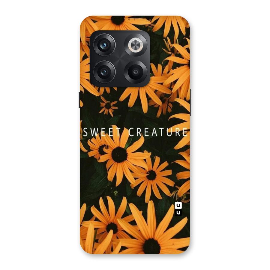 Sweet Creature Back Case for OnePlus 10T